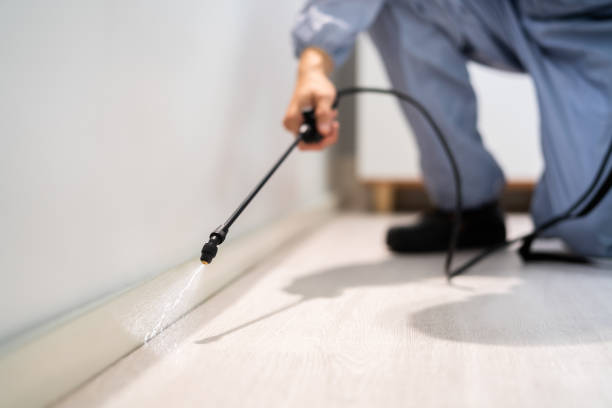 Licensed Mosquito Control service in Charenton, LA - Nex Pest Control
