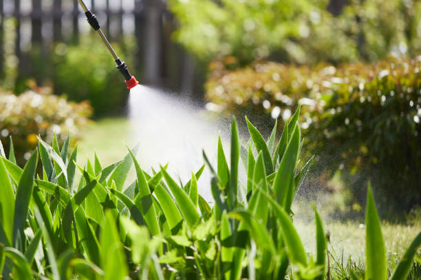 24/7 Emergency Mosquito Control experts in Charenton, LA